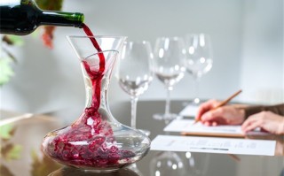 梦陇法国原瓶进口干红葡萄酒怎么样，它应该怎样保存